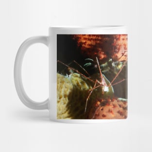 Arrow Crab at Night Mug